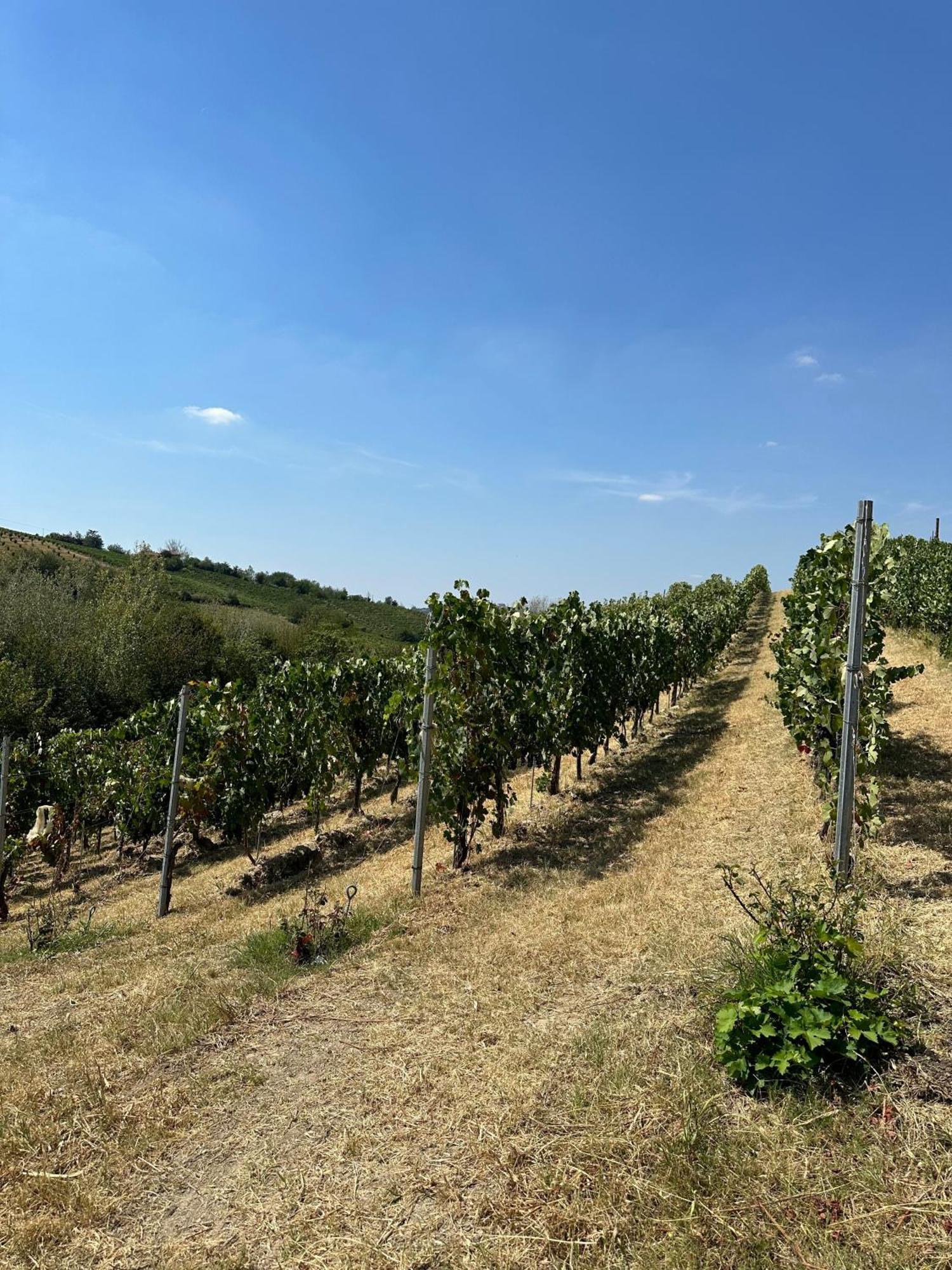 Calamandrana Cadgal - Tenuta La Cova المظهر الخارجي الصورة